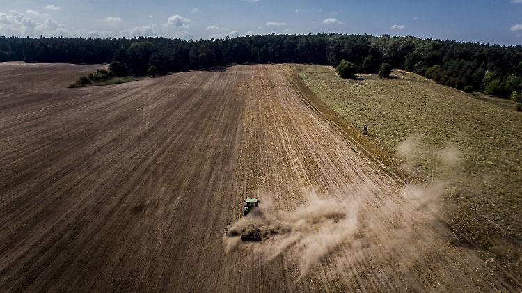 Junge Landwirte sollen einen besseren Zugang zu Agrarflächen erhalten.