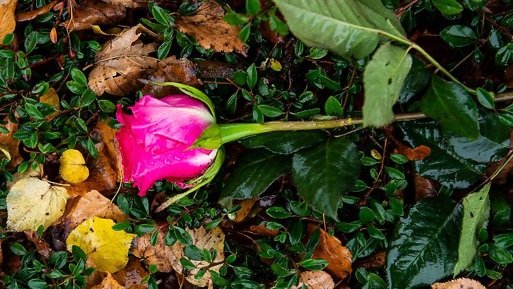 Blumen für die Opfer im Göttinger Ortsteil Grone.