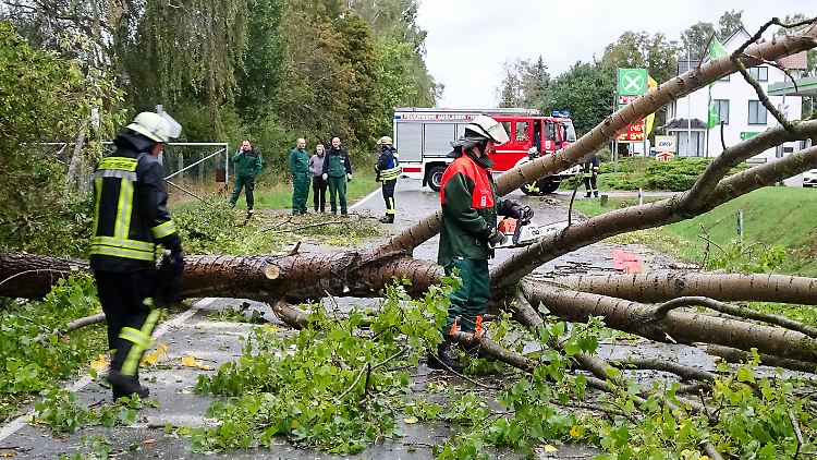 In Sachsen-Anhalt sind mehrere Bäume umgestürzt, verletzt wurde niemand.