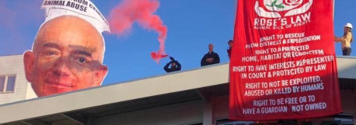 Im Namen des Tierschutzes.