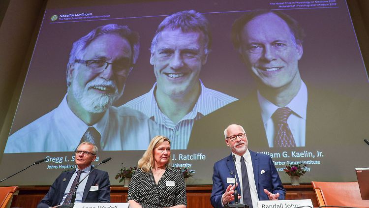 Bereits in den frühen 1990er Jahren legten die Wissenschaftler den Grundstein ihrer Forschung.