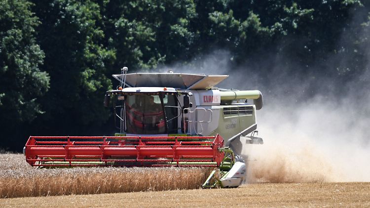 Rechnungsprüfer stellen der EU das dritte Jahr in Folge ein positives Zeugnis aus. Probleme gibt es demnach vor allem bei Landwirtschafts- und Regionalhilfen.