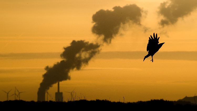 Bis 2030 soll der EU-Ausstoß an Klimagasen um 55 Prozent reduziert werden.