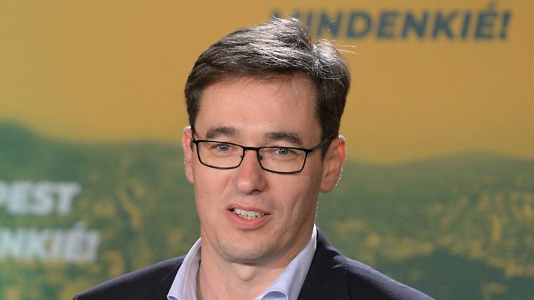 Das neue politische Gesicht Budapests: Gergely Karacsony.