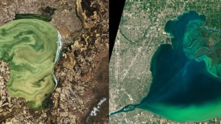 Der Khanka-See (l.) an der Grenze zwischen Russland und China und der St.-Clair-See (r.) an der Grenze zwischen den USA und Kanada: Sie zeigten beide eine Verbesserung und verschlechterten sich dann, was die Algenblüte betrifft.