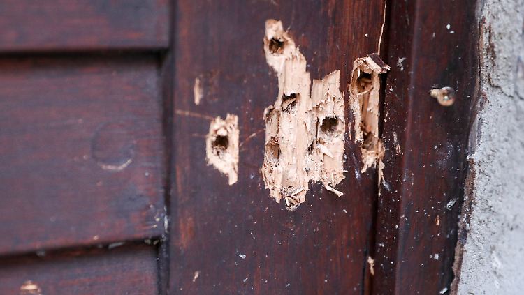 Der Täter schoss auf die Tür und versuchte in die Synagoge zu gelangen. Die Einschusslöcher sollen zur Mahnung bleiben und nicht verschwinden. 