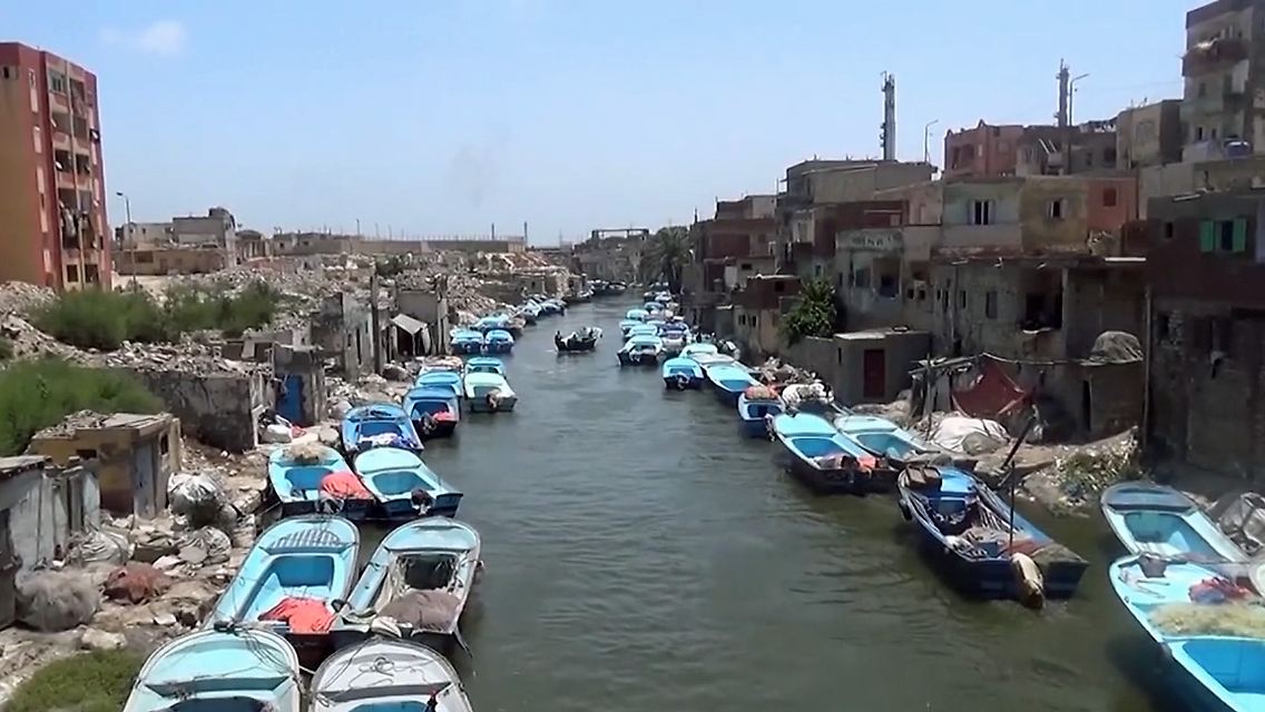 alexandria klimawandel.jpg