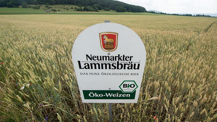 Der Bierhersteller nutzt nur so viel Hopfen, wie es die Region nachhaltig hergibt.