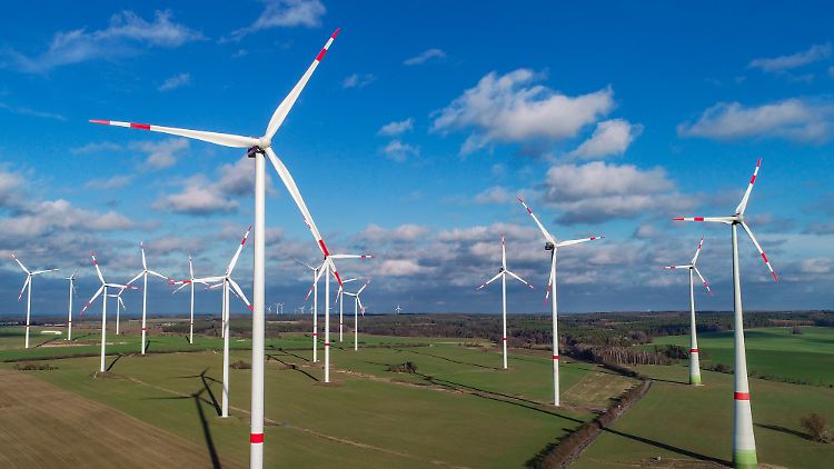 Teil eines Windparks in Brandenburg.