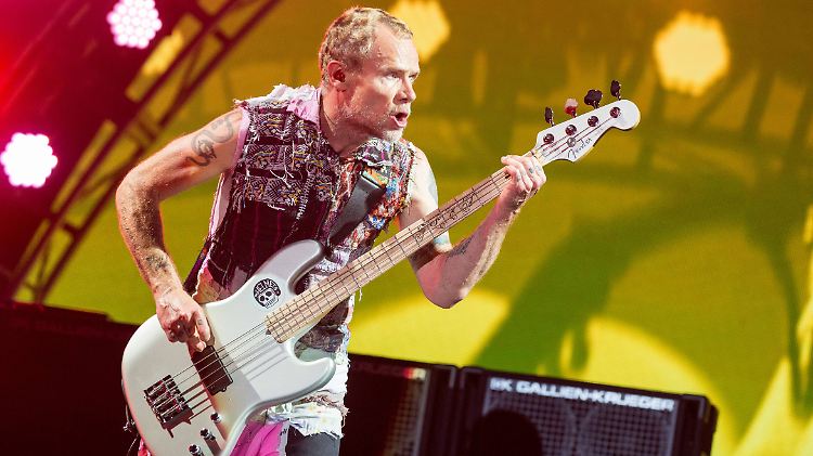 Ja, so kennen wir ihn eigentlich: Flea.