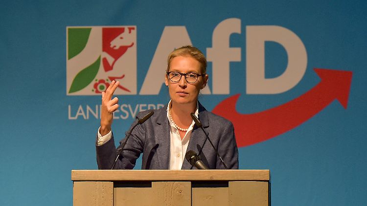 Ist angezählt: Fraktionschefin Alice Weidel.
