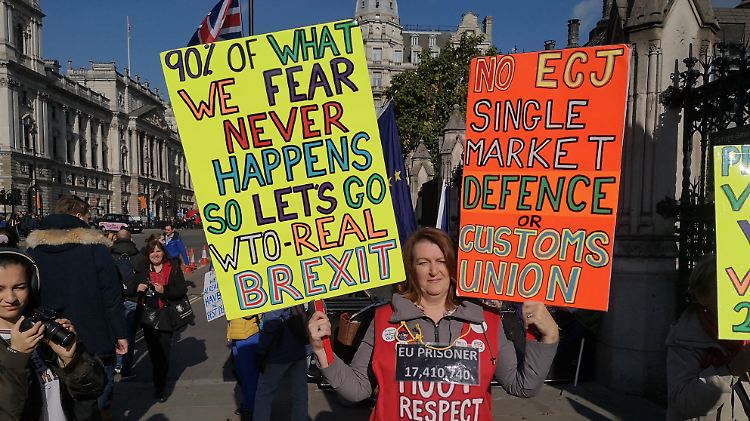 "90 Prozent, von dem, was wir fürchten, trifft nie ein", rechnet diese Dame vor. Sie will den harten Brexit. 