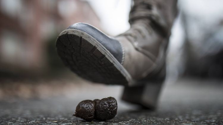 Achtung, Tretmine! Hier wurde offenbar kein Hundekot-Beutel benutzt.