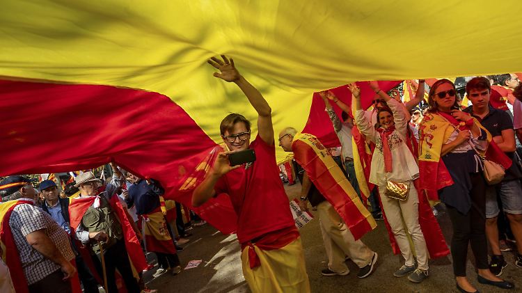 Teilnehmer der Demonstration für die Einheit Spaniens riefen "Viva España!" und "Es lebe der König!".