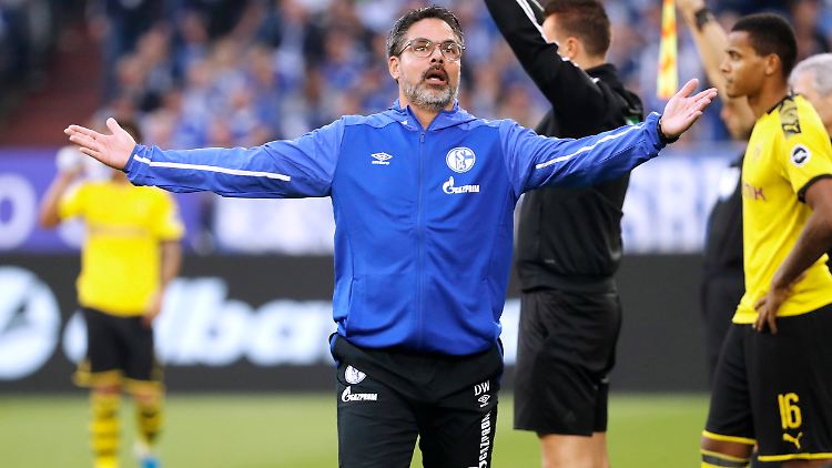 Schalkes Trainer David Wagner hadert mit einer Handspielentscheidung des Schiedsrichters.