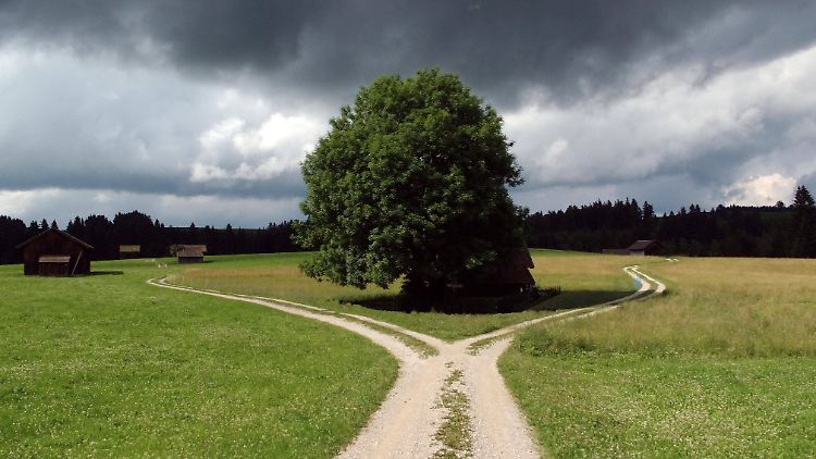 Psychologen kennen zwei verschiedene Entscheidungstypen: Maximizer und Satisficer.