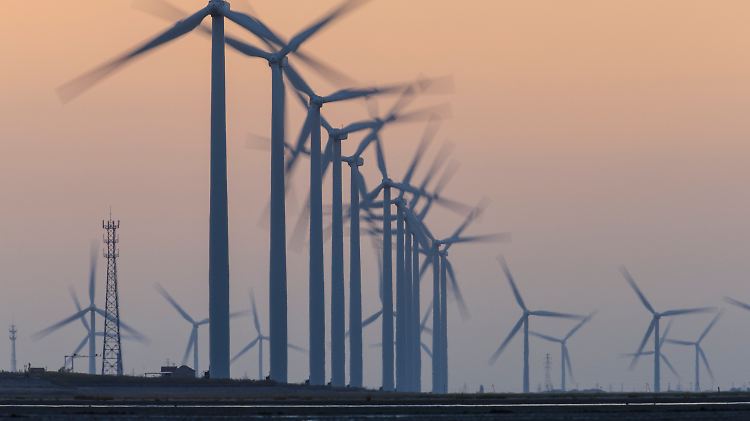 Windkraft wird von den Forschern als "Rückgrat" der künftigen Stromversorgung genannt. 