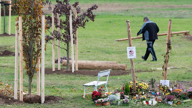 Die Bäume im Zwickauer Schwanenteichpark sollen an die Opfer des NSU erinnern. Am Sonntag wird der Ort eingeweiht.