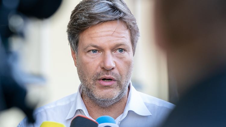 Parteichef Habeck spricht sich für einen wesentlich höheren Mindestlohn aus.