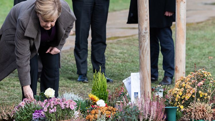 In Zwickau legte Merkel eine weiße Rose vor einen der Gedenkbäume. 