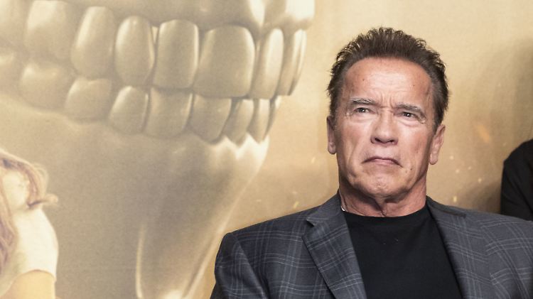 "Inspiriere weiter, Greta!", fordert der Terminator alias Arnold Schwarzenegger.
