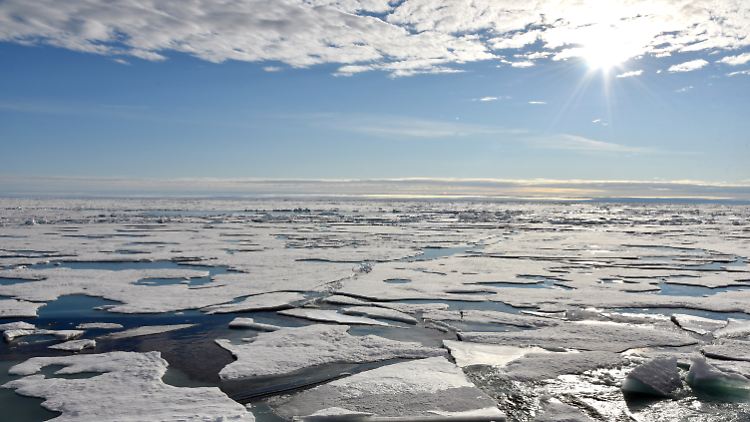 Die Arktis erwärmt sich mehr als doppelt so schnell wie die restliche Welt, heißt es im sechsten World Ocean Review.