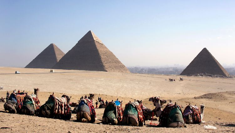 Die Online-Enzyklopädie Wikipedia sieht sich auf einer Stufe mit den Pyramiden.
