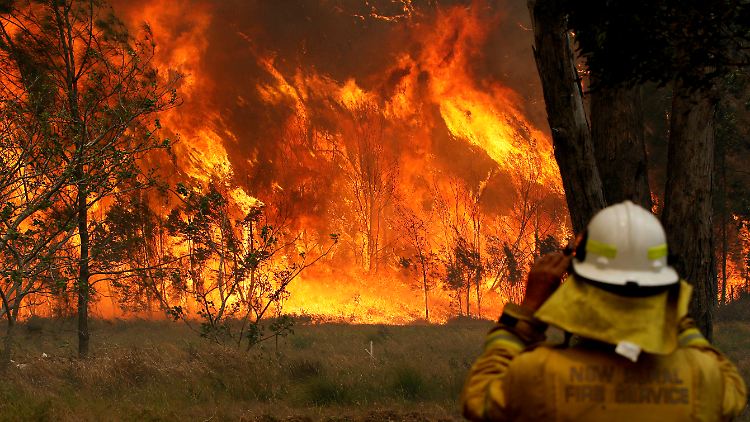 Verheerende Flammenhölle: Feuerwehrleute stehen in New South Wales Dutzenden Buschfeuern gegenüber.