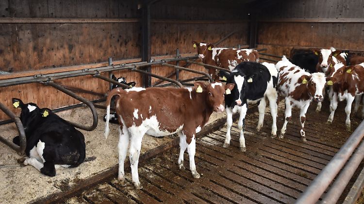 Abfallprodukt der industriellen Landwirtschaft.