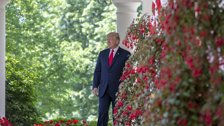 Findet Mauern eigentlich ganz gut, aber bitte nicht im eigenen Garten: Donald Trump.