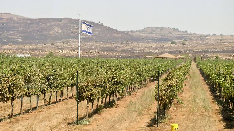 Wein von den Golanhöhen muss künftig besonders gekennzeichnet werden. 