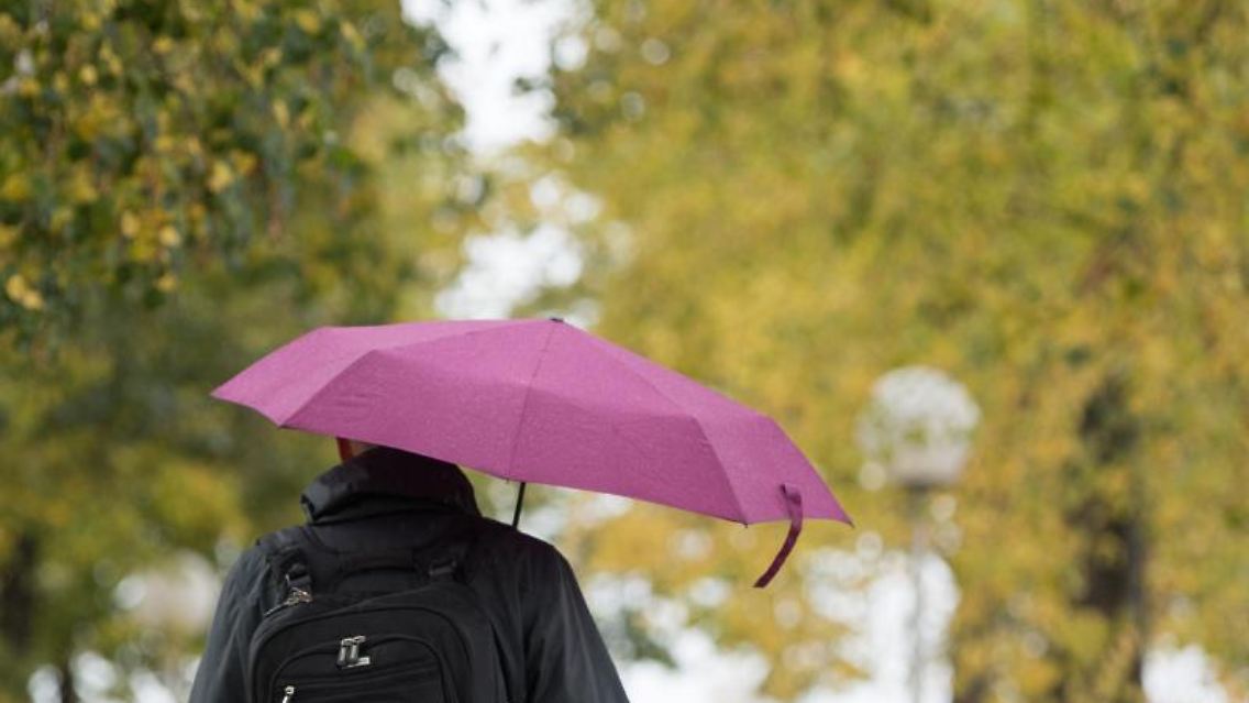 Ein Mann geht mit Regenschirmen unter herbstlich gefärbten Bäumen entlang. Foto: Sebastian Kahnert/zb/dpa