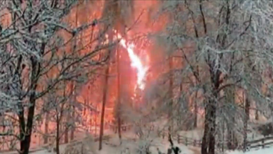 funken in wald.jpg