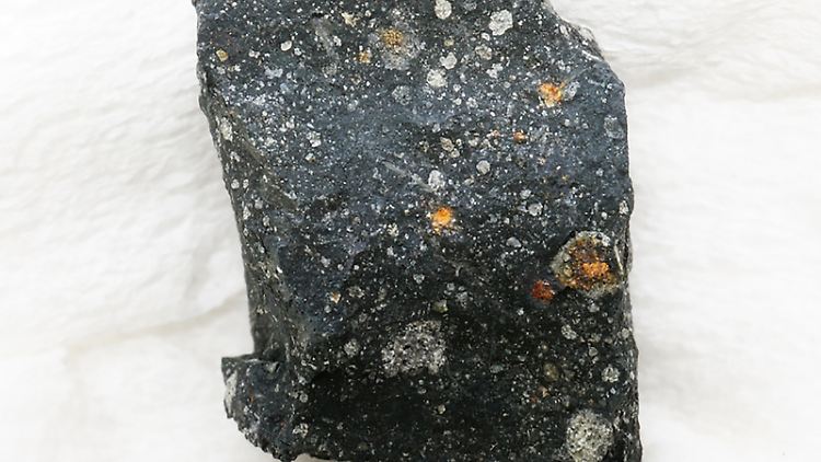 Fragment des Murchison-Meteoriten. In dem Gestein wurde auch der Zucker Ribose, der zentrale Baustein des Erbgutmoleküls RNA, gefunden.