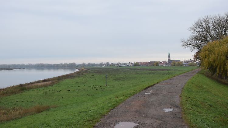 DSC_1204.JPG
