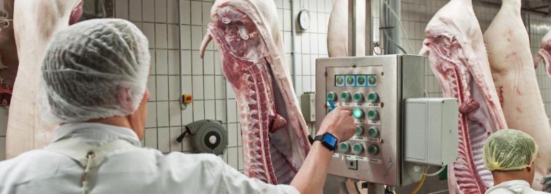 Schweinehälften passieren einen der Kontrollterminals im Zerlegebereich eines Schlachthofs. Foto: Ingo Wagner/Archivbild