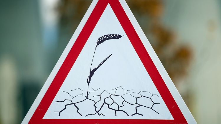 Ernteausfälle wegen Hitze gibt es auch in Deutschland. Und die Temperatur steigt weiter.