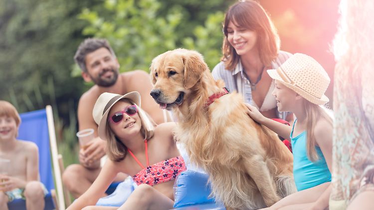 Hunde sind oft Teil von Familien - nur leben sie deutlich kürzer als andere Mitglieder.