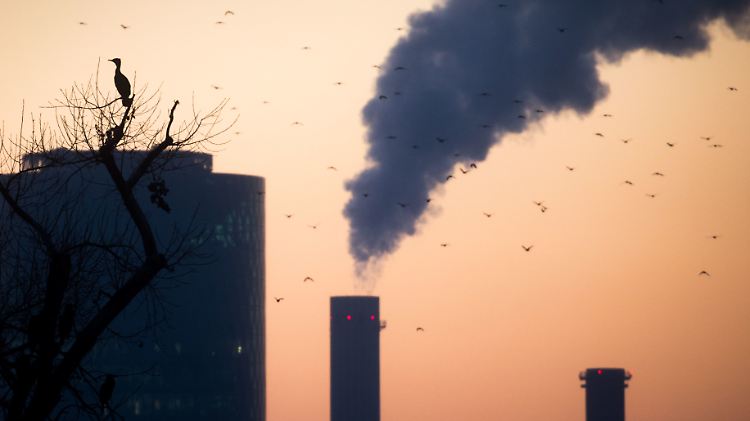 Die neue EU-Kommission soll ihre gesamte Arbeit auf Folgen für Klima und Umwelt abklopfen.