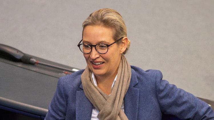 Alice Weidel verschränkt sich nicht vor einer Zusammenarbeit mit der CDU.