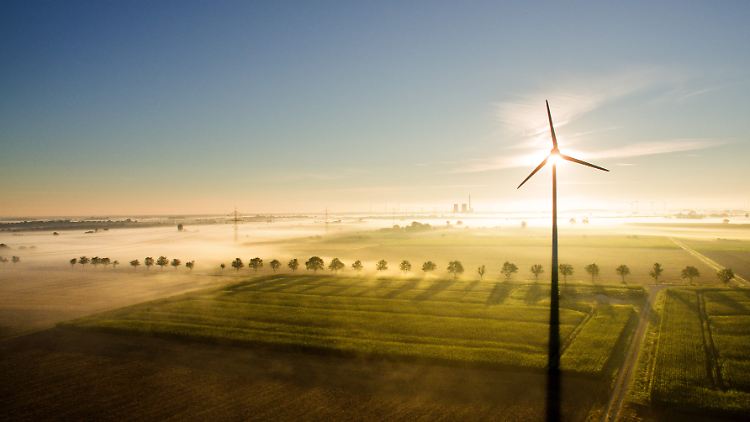 Fast die Hälfte des Ökostroms stammt in Deutschland von Windrädern.