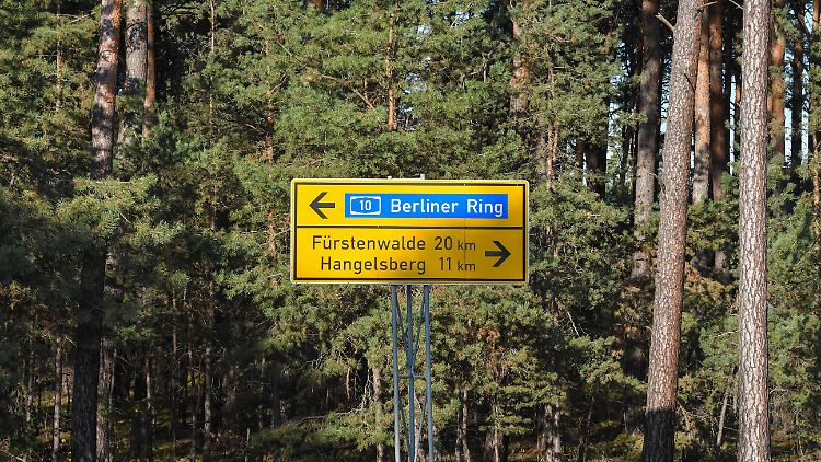 Gründheide ist nur einen Katzensprung vom grünen Berliner Südosten entfernt.