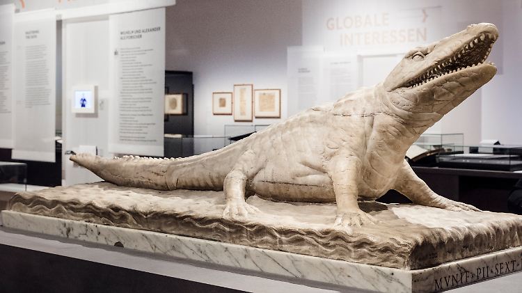 Das zungenlose Krokodil ist eines der Höhepunkte der Ausstellung.