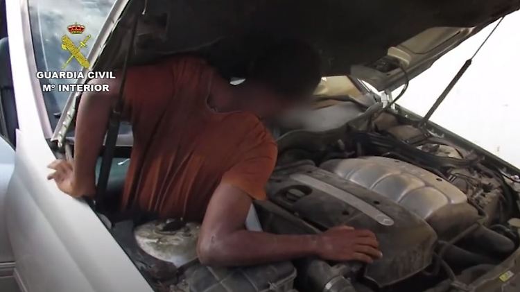 Flüchtling Motorhaube 2.JPG