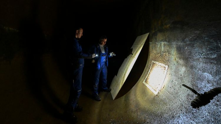Mitarbeiter der Bodenseewasserversorgung kontrollieren eine technische Anlage - auf deren Boden haben sich massiv Quagga-Muscheln angesiedelt.