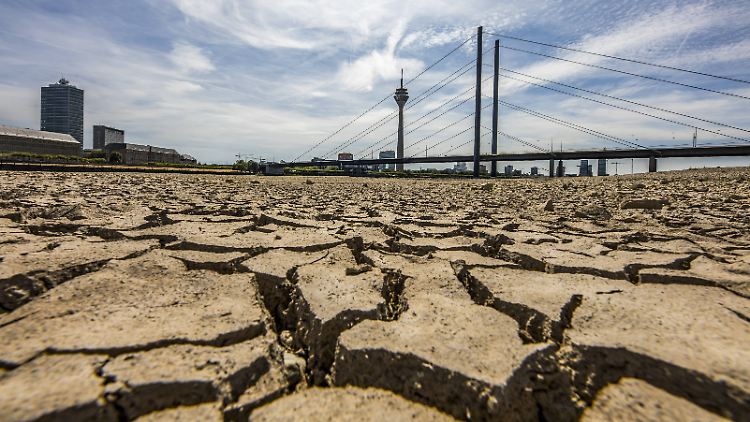 Extreme Trockenheit wie hier 2018 am Rhein in Düsseldorf wird künftig wohl öfter vorkommen.