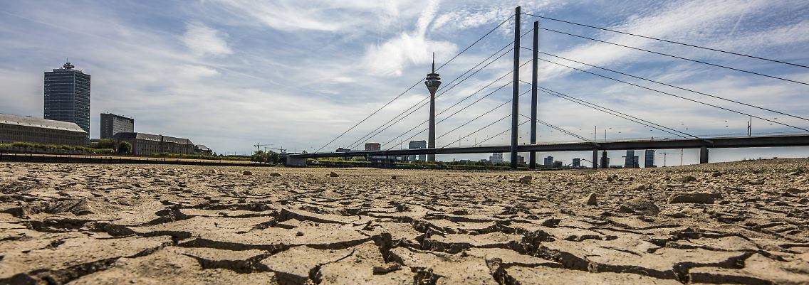 Extreme Trockenheit wie hier 2018 am Rhein in Düsseldorf wird künftig wohl öfter vorkommen.