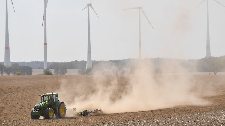 Die Landwirtschaft nennt der Bericht als eine der Hauptursachen für Naturschäden.