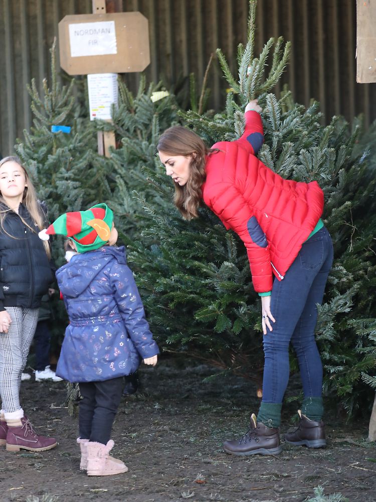 Kate suchte die passenden Weihnachtsbäume für die anwesenden Kinder aus.