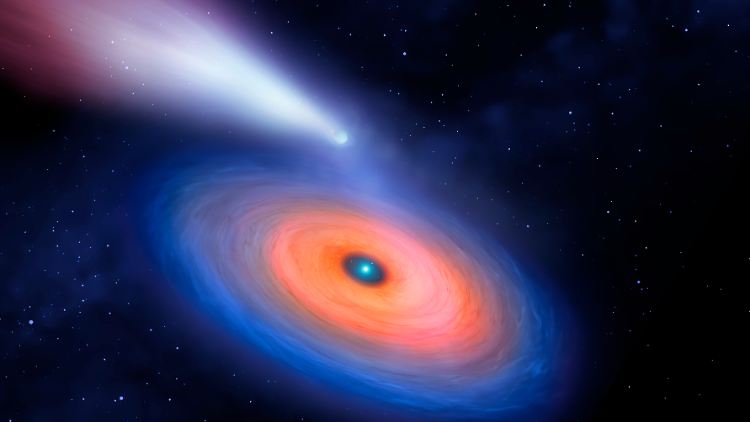 Eine zufällige Entdeckung, die die Wissenschaftler staunen lässt.